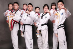 关于元武道的电视剧,江湖风云再起