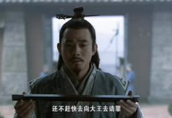 电视剧卧薪尝胆,复仇之路的坚韧与智慧