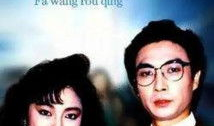 电视剧法网柔情,正义与情感的交织
